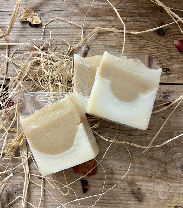 Rudolph's Winter Warmer Soap